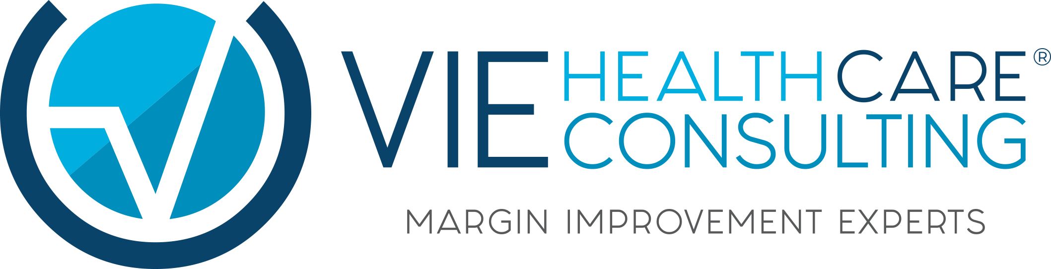 VIE_HealthCare_Horizontal_Logo
