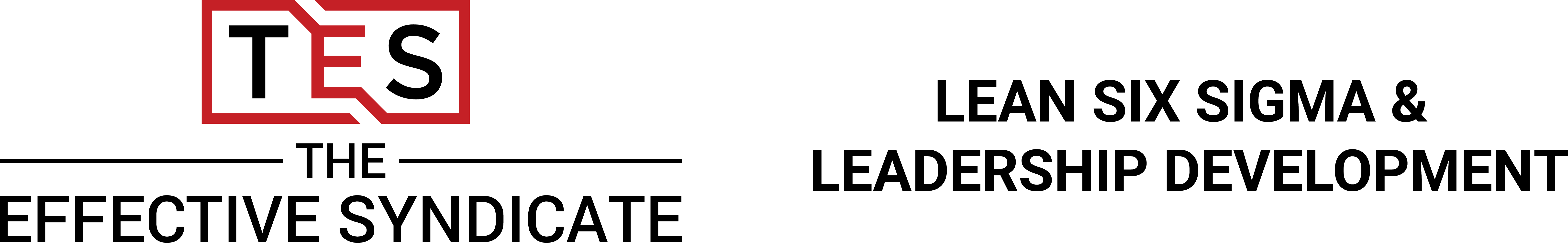 effectivesyndicatelogo