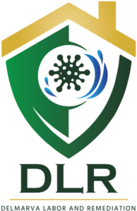 Delmarva-Labor-Color-Site-Logo