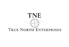TNE logo TNE logo