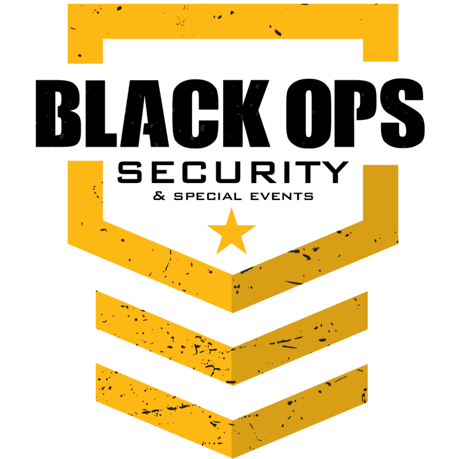 Black-ops-logo-resized_1666723545