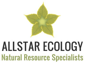 allstarecologylogo