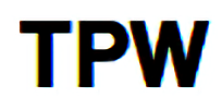 theprofessionalwaylogo